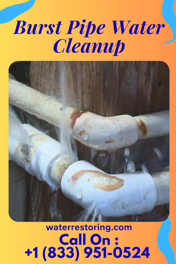 Burst Pipe Water Cleanup in Odessa, MO
