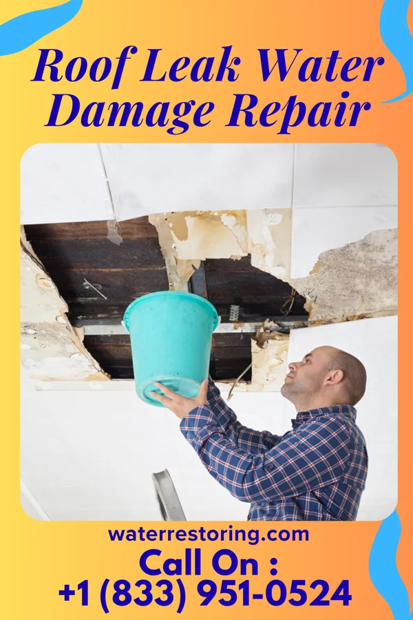 Roof Leak Water Damage Repair in Odessa, MO