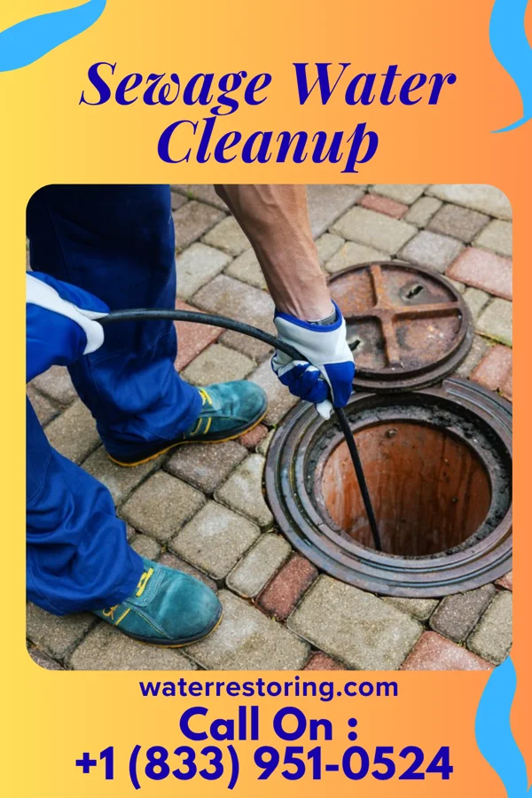 Sewage Water Cleanup in Odessa, MO