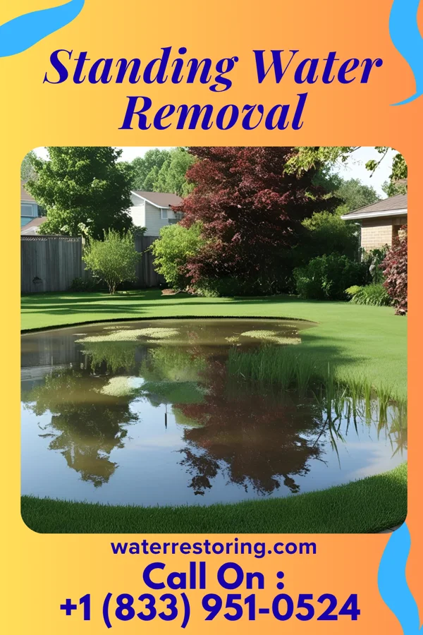 Standing Water Removal in Odessa, MO